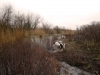 In de omgeving