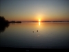 DSCN3958